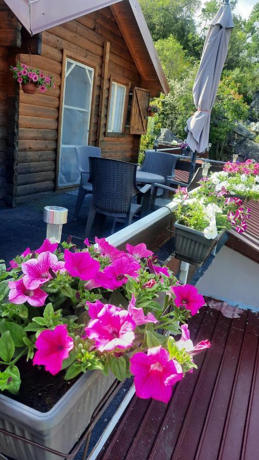 Mali Raj Apartmani Cetinje Exteriér fotografie